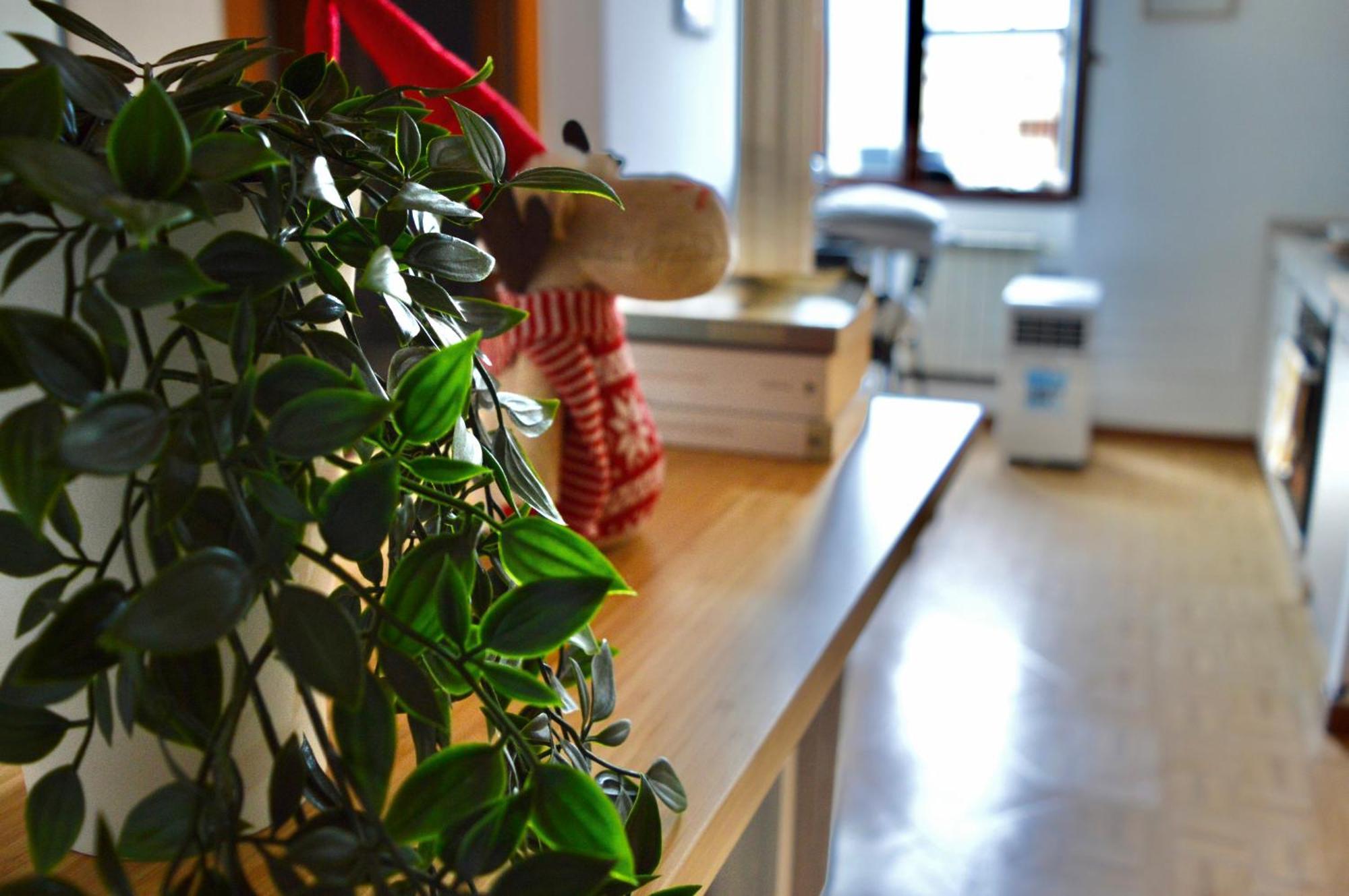 Cozy Fiore Mono - Rho Fiera, San Siro, Citylife Milan Exterior photo